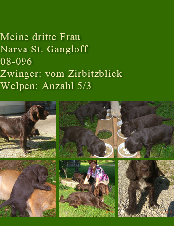 dritte Familie