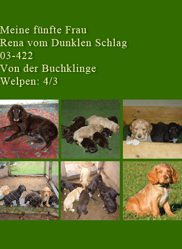 fünfte Familie