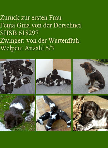 zurück zu meiner Ex